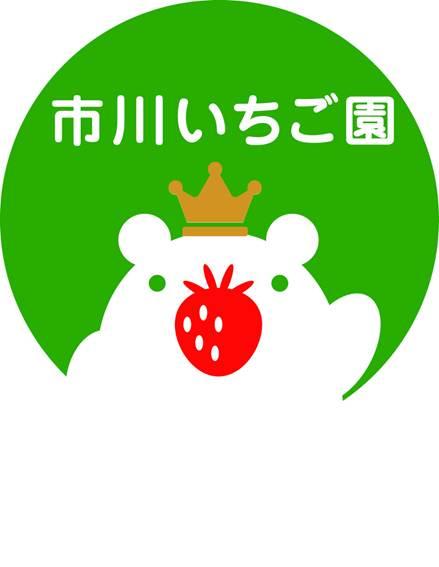 秩父のいちご「あまりん」「かおりん」ー秩父【市川いちご園】秩父　いちご　市川いちご園